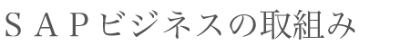 ＳＡＰビジネスの取組み