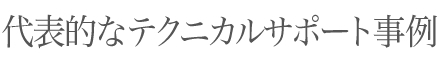 代表的なテクニカルサポート事例