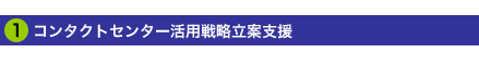 1.コンタクトセンター活用戦略立案支援