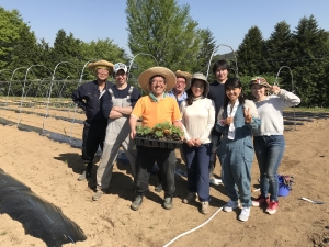 農業ボランティア（2018年4月）