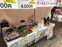 i-i（あいあい） FESTA 2018